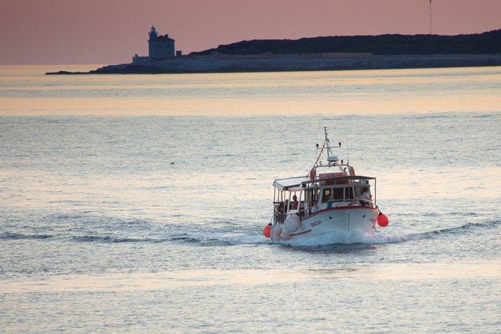 Brijuni National Park Dolphin Watching Cruise with Drinks