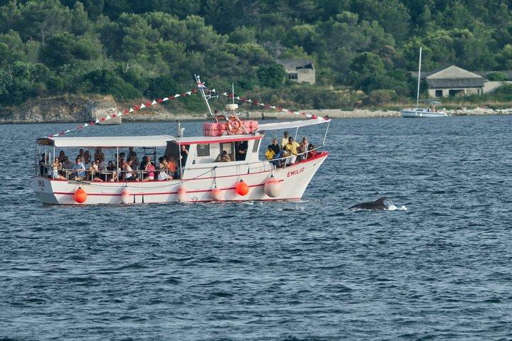 Brijuni National Park Dolphin Watching Cruise with Drinks