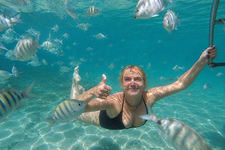 Full-Day Speedboat Tour in Angra and Islands with pick-up in Rio