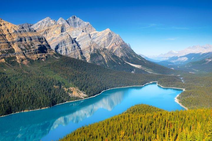 Icefields Parkway Small Group Tour with Peyto Lake and Lunch