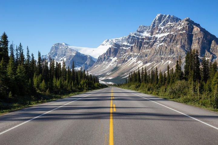 Icefields Parkway Small Group Tour with Peyto Lake and Lunch