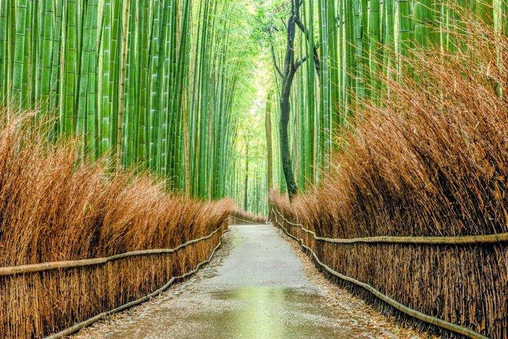 10 Must-see Spots in Kyoto One Day Private Tour