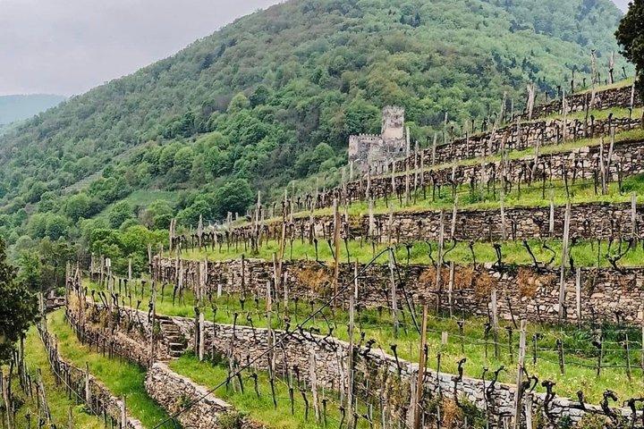 Wachau Valley Boat and Wine Private Day Experience from Vienna