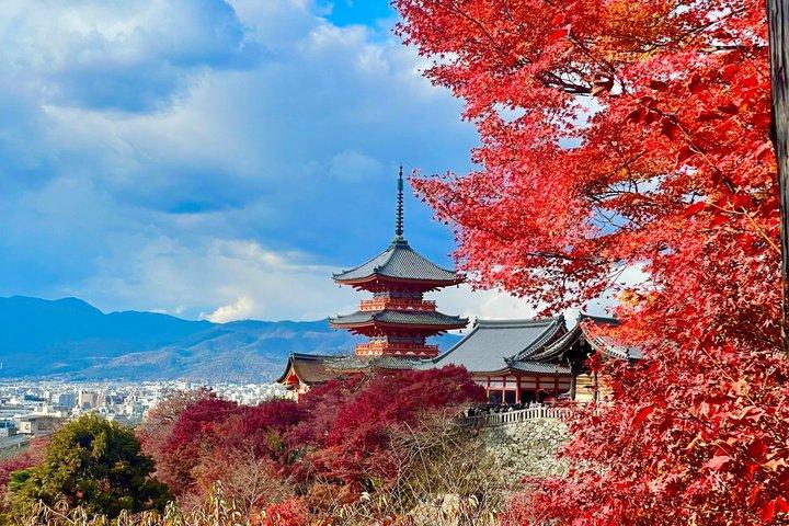 Visit Fushimi Inari Taisha and Kiyomizudera with Guide in Spanish