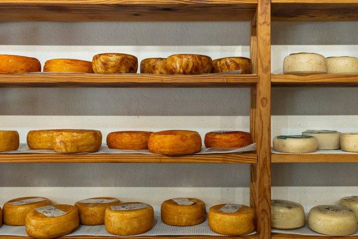4 Hour Traditional Portuguese Food and Wine Tour in Porto