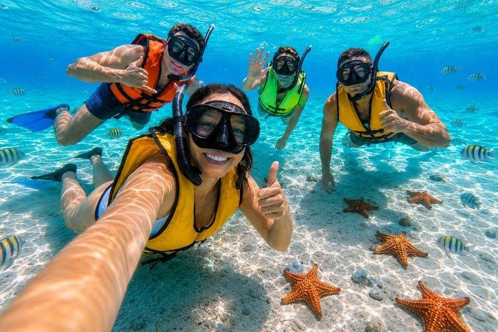 Magnificent Exploration to El Cielo Palancar and Columbia Reefs