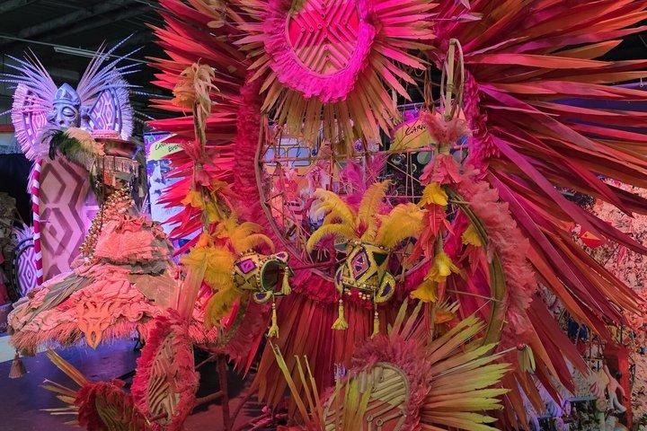 River Carnival Tour with Fantasy and Samba