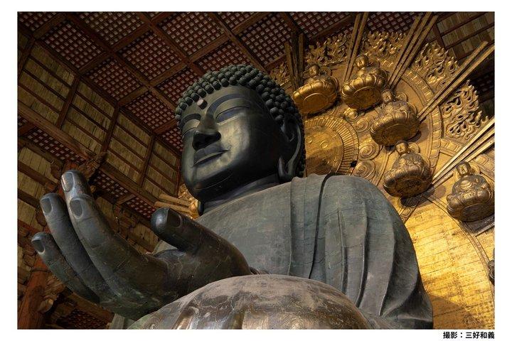 Nara Afternoon Tour from Kyoto & Osaka: Todai-ji, Nara Park