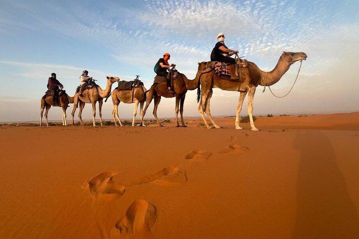 From Fez: 2-Day Desert Tour with Return to Fez or Marrakech