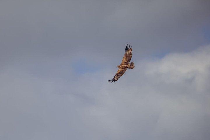 Birdwatching at Bishoftu Creator lake Day Trip from Addis Ababa