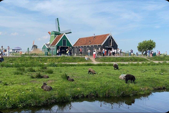Zaanse Schans and Zaandijk: old windmills, chocolate & brewery