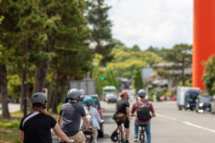Kyoto E-Bike Tour: The Silver Pavilion & Philosopher's Path