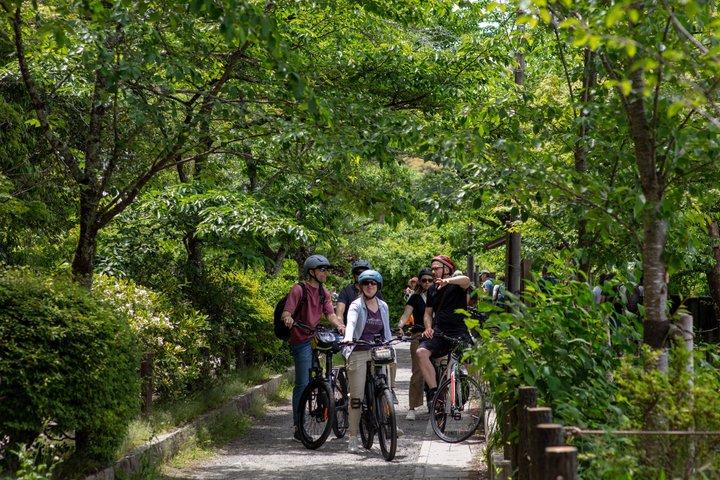 Kyoto E-Bike Tour: The Silver Pavilion & Philosopher's Path