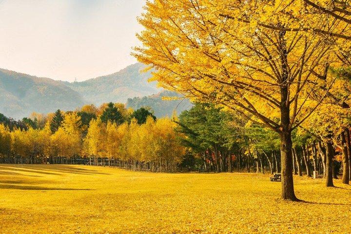 Seoraksan National Park & Nami Island