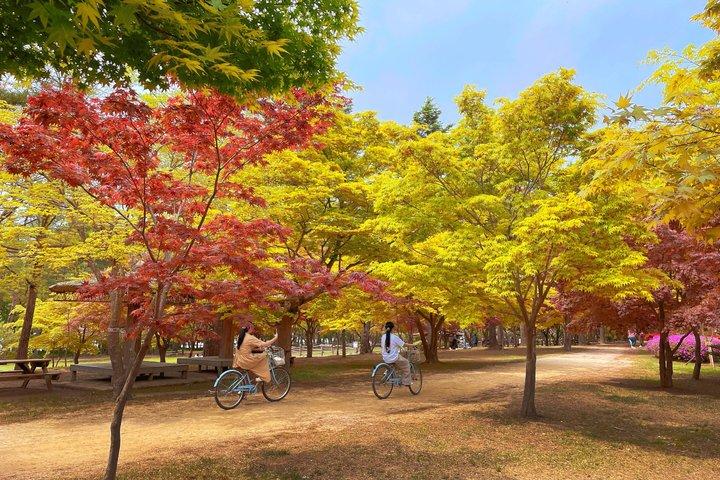 Seoraksan National Park & Nami Island