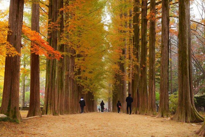 Seoraksan National Park & Nami Island