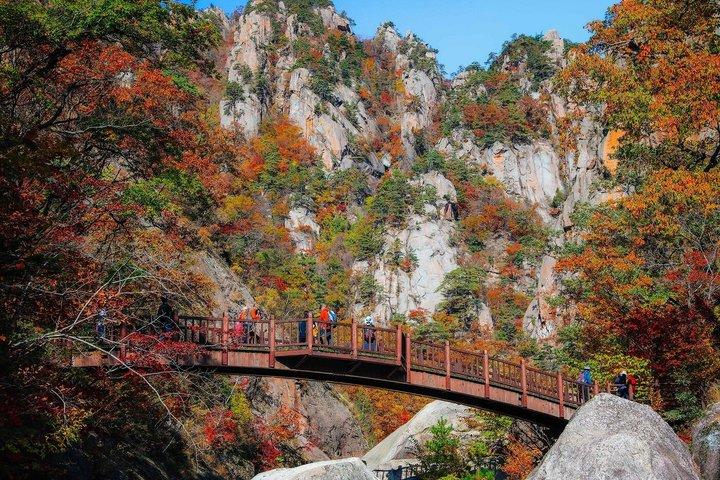 Seoraksan National Park & Nami Island