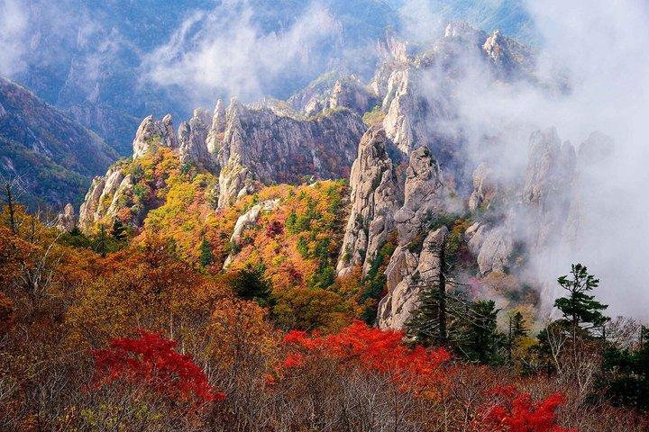 Seoraksan National Park & Nami Island