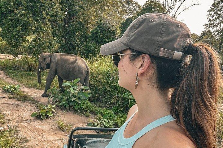 Minneriya National Park Elephant Safari Tour Sigiriya