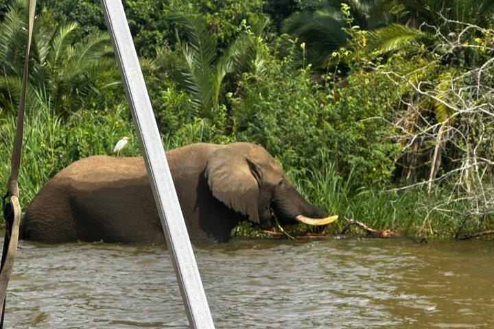 Rwanda Safari - 1 Day Akagera Big Five Safari from Kigali