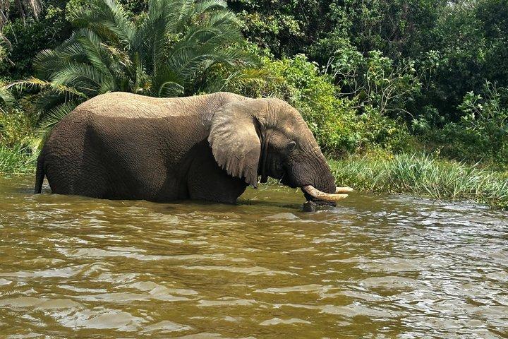 Rwanda Safari - 1 Day Akagera Big Five Safari from Kigali