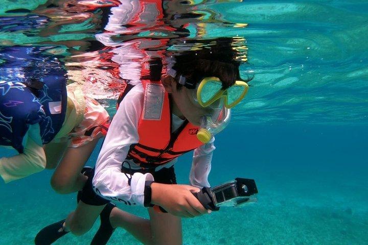 Shared Snorkeling Tour Playa El Cielo in Cozumel