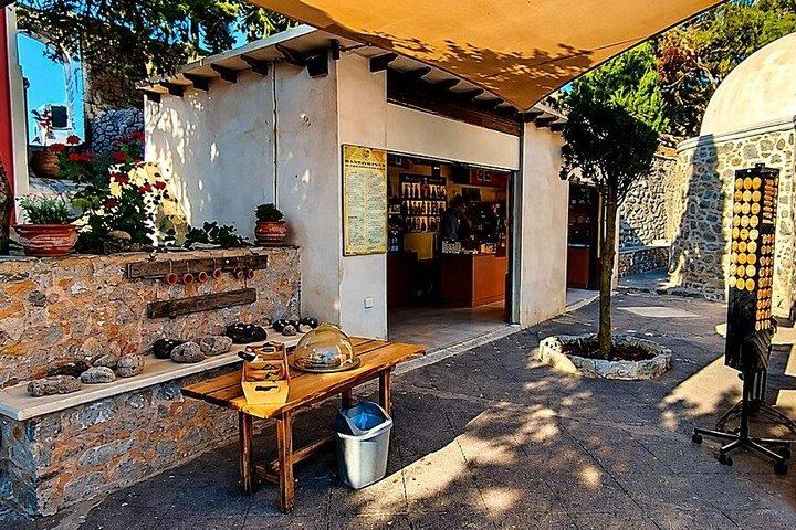 Santorini Vegan Food & Wine Private Tour