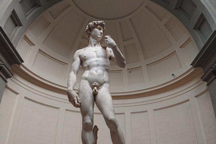 Michelangelo's David Florence Accademia Gallery Ticket