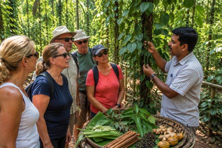 Private Goa Shore Excursion: Old Goa, Fontainhas & Spice Tour