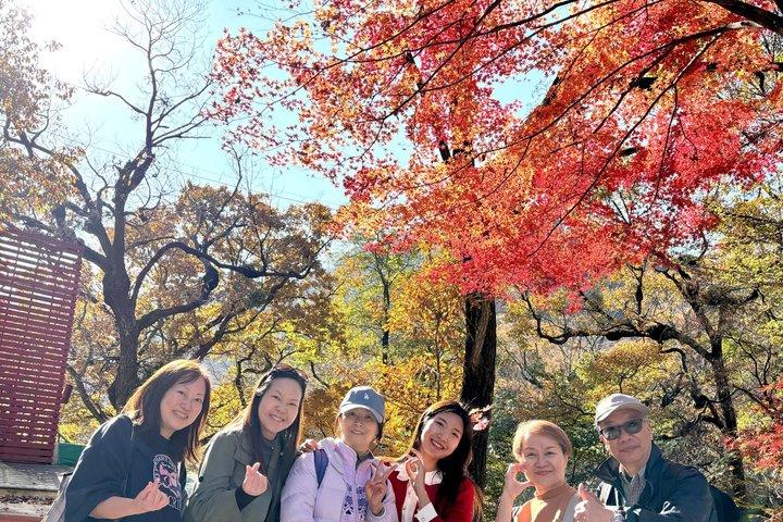 Naejangsan National Park Autumn Foliage One Day Tour from Seoul