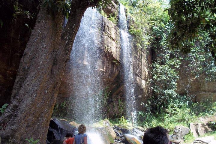 Full Day Shimba Hills Safari Wildlife and Sheldrick Falls