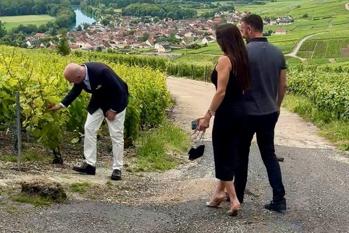 Private Trip: Tour in Epernay & Champagne Tastings from Paris