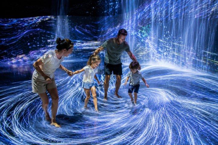 Kyoto Private Morning Tour: Fushimi Inari & teamLab Biovortex