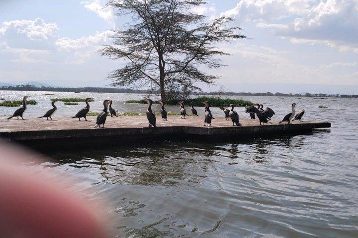 Hell’s Gate, Naivasha & Crescent Island Day Safari