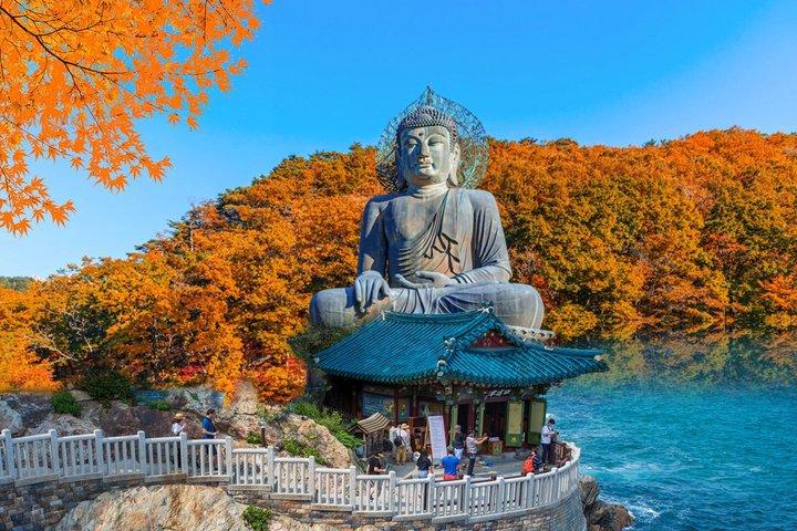 Mount Seorak and Naksansa Temple One Day Tour from Seoul
