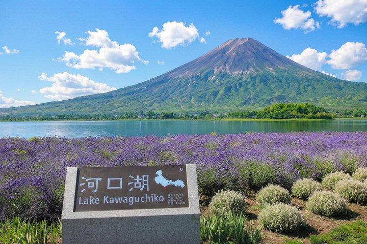 Mount Fuji Full Day Tour from Tokyo Lake Kawaguchi & Yamanaka