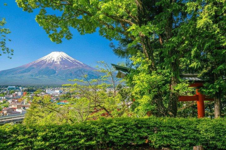 Mount Fuji Full Day Tour from Tokyo Lake Kawaguchi & Yamanaka