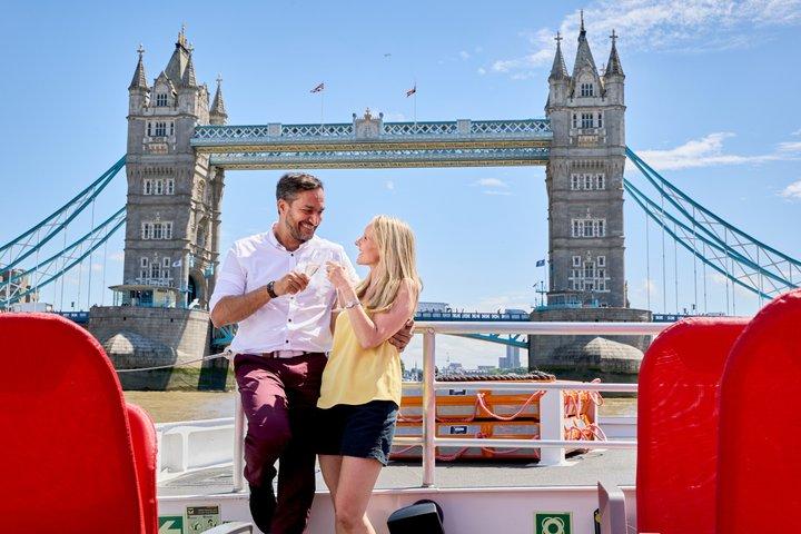 The Official Tower of London River Tour- Sightseeing River Cruise