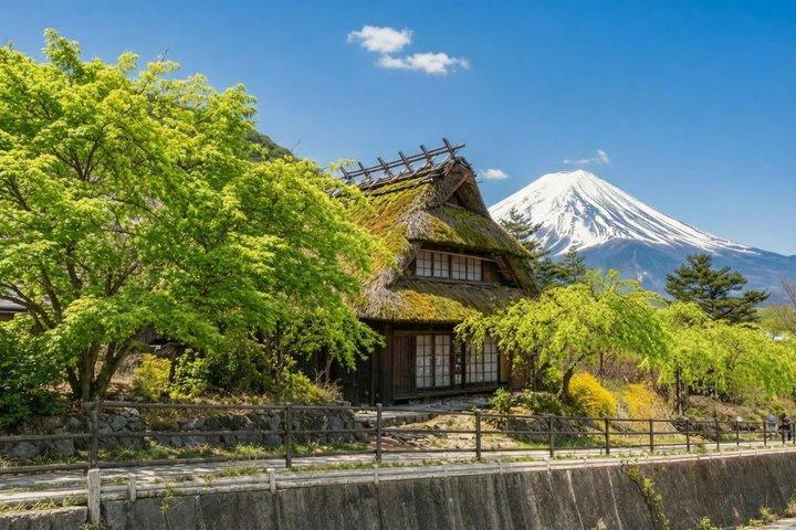 From Tokyo: Mount Fuji Sightseeing Full Day Trip