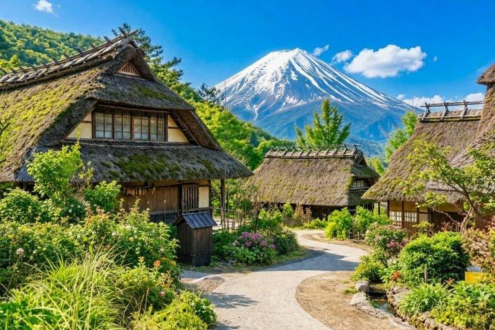 From Tokyo: Mount Fuji Sightseeing Full Day Trip
