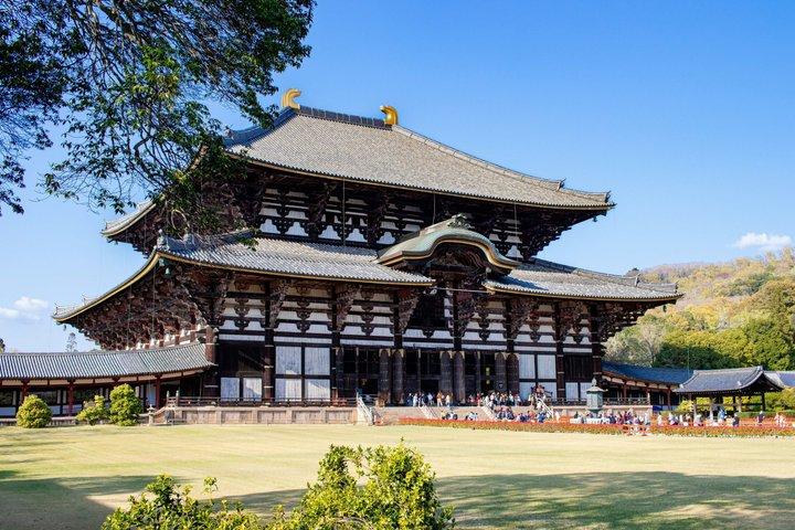 Nara Deer Park Todaiji and Buddha Temple Walking Tour