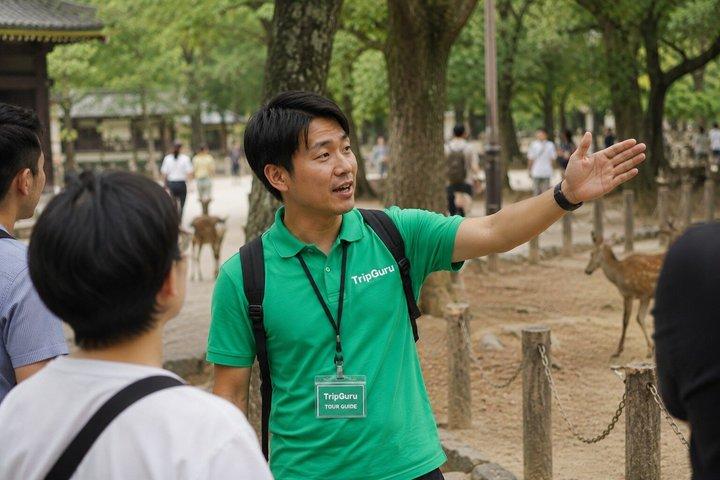 Nara Deer Park Todaiji and Buddha Temple Walking Tour