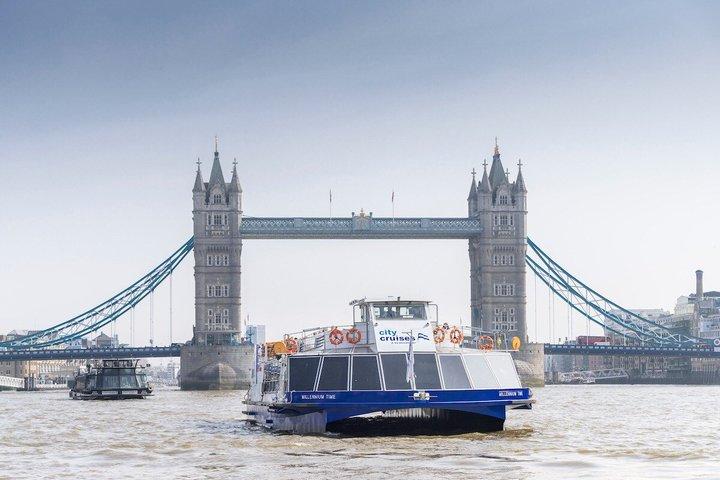 One-Day Unlimited City Cruises River Pass
