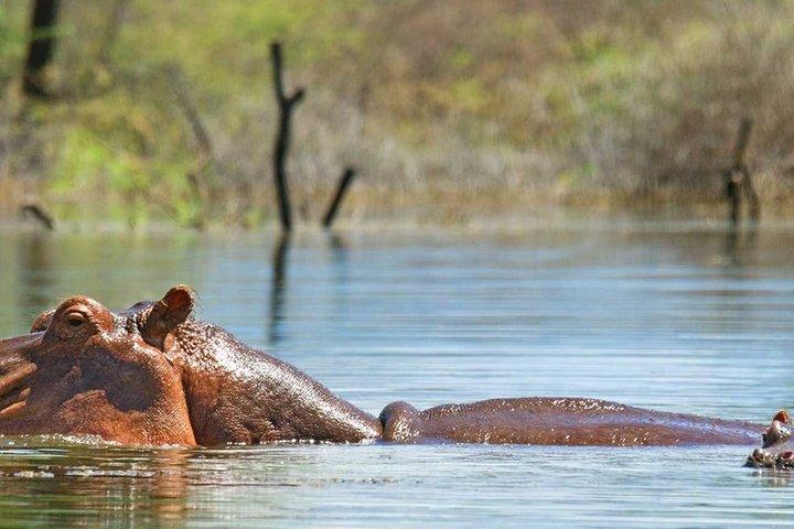 2 Day Lake Nakuru and Lake Naivasha Guided Tour