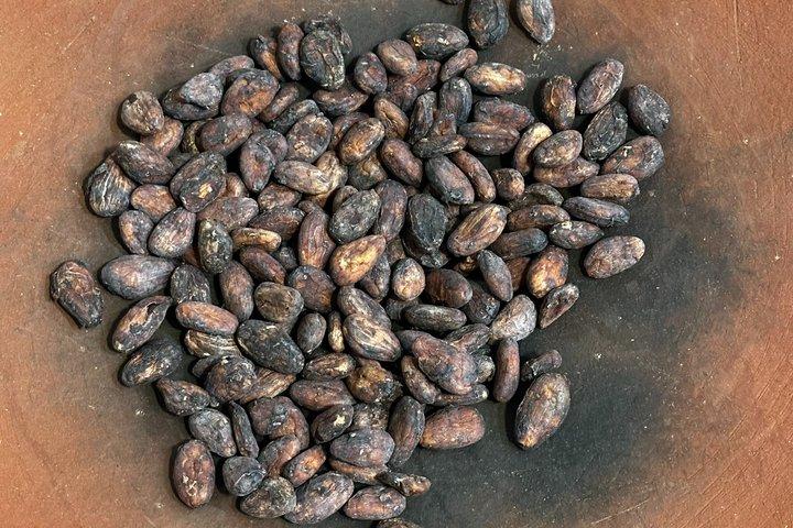 Traditional Oaxacan Chocolate Class