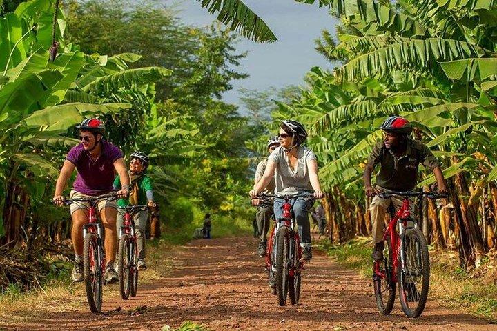 Day Tour Cultural Cycling & Raw Foot walking Safari Expedition
