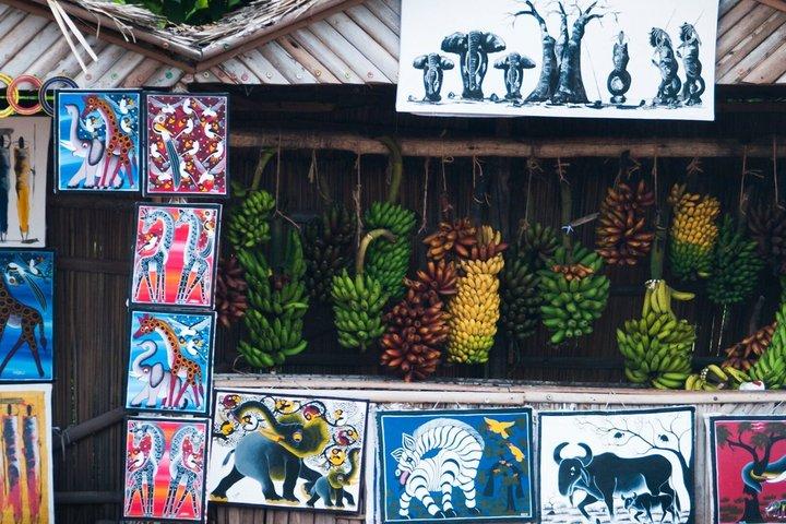 Day Tour Cultural Cycling and Raw Foot walking Safari Expedition