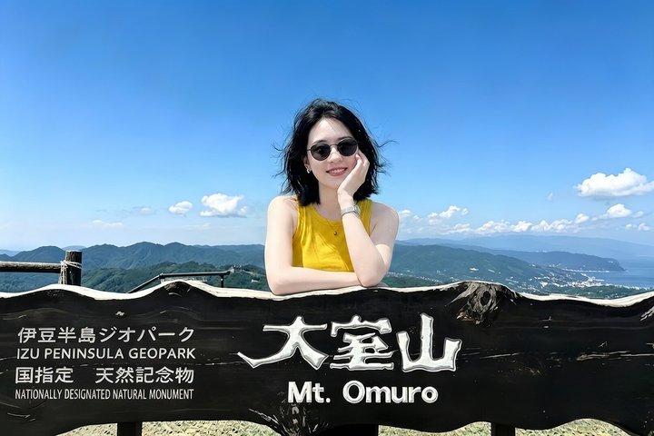 Izu Small Group: Ocean-View Train, Mt. Omuro & Coast