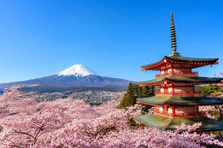 Mt. Fuji, Arakurayama, Hikawa clock shop, Oishi Park, Kawaguchiko
