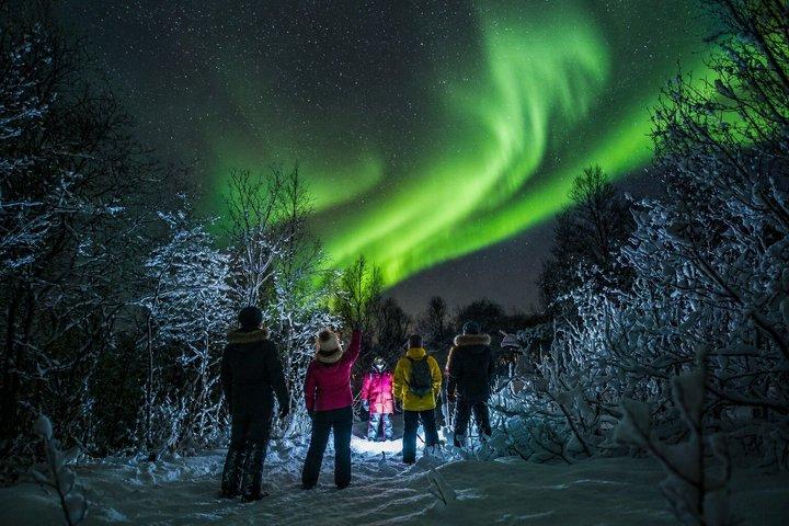 Tromsø: Chasing the Aurora – We Go Where The Lights Appear